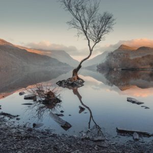 Khoá học chuyên sâu về chỉnh sửa Ảnh Phong cảnh của Martin Castein (mp4)