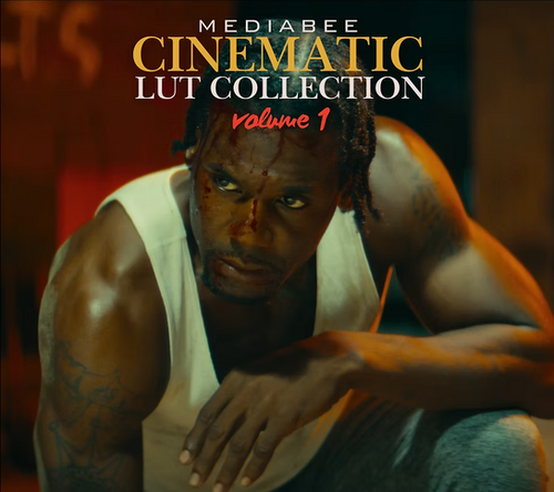 Mediabee Cinematic LUT Collection Vol 1 — Bộ LUT điện ảnh Mediabee Vol 1 (cube) E133E61