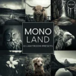 Woodland - Mono Land LIMITED Lightroom Presets Pack — Bộ sưu tập preset dành cho nhiếp ảnh thiên nhiên (xmp/acr) E136D33