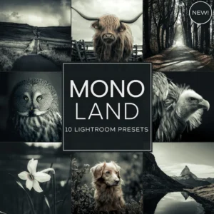 Woodland - Mono Land LIMITED Lightroom Presets Pack — Bộ sưu tập preset dành cho nhiếp ảnh thiên nhiên (xmp/acr) E136D33