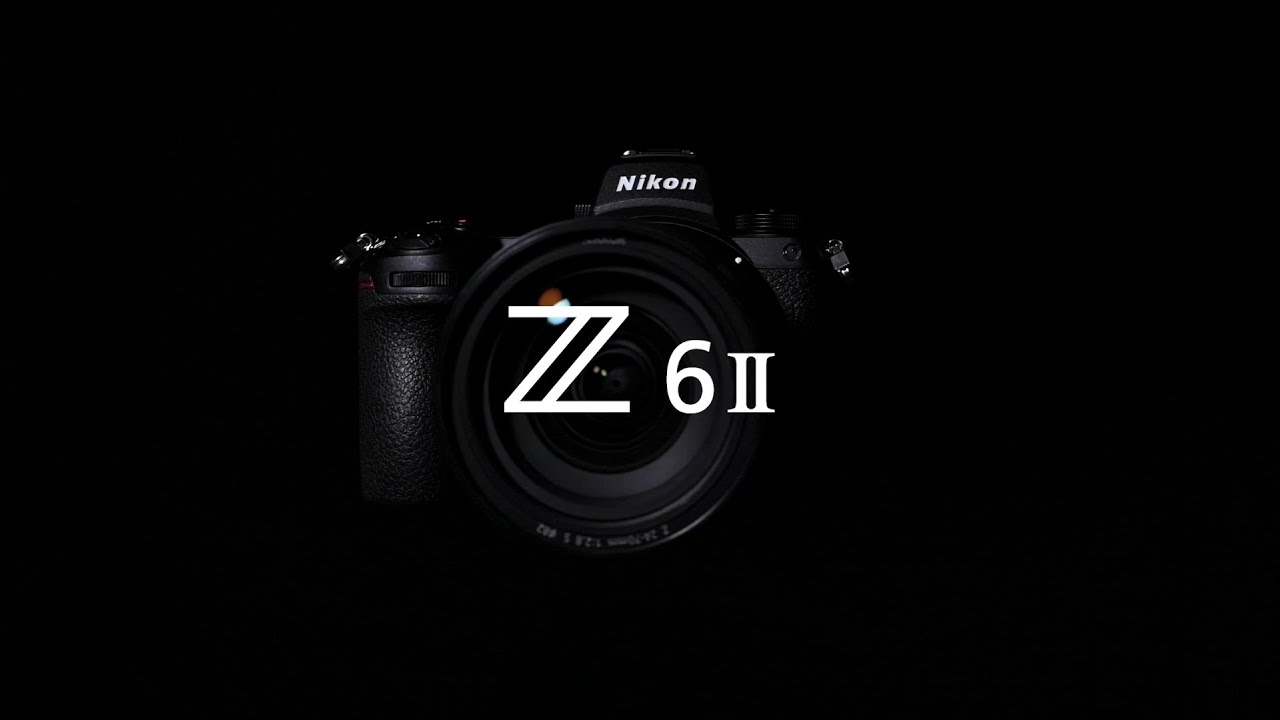 Cobalt Image - The Base Pack for Nikon Z6II — Gói Profile Nikon Z6II Dành Cho Adobe (dcp) L140P38