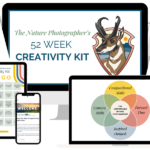 Journal of Wildlife Photography - 52 Week Creativity Kit - Khóa học nhiếp ảnh động vật hoang dã E138C71