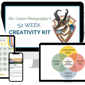 Journal of Wildlife Photography - 52 Week Creativity Kit - Khóa học nhiếp ảnh động vật hoang dã E138C71