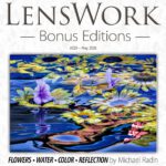 Tạp chí LensWork - Ấn bản đặc biệt LensWork Số 029 (pdf) L138Q64