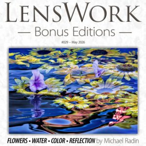 Tạp chí LensWork - Ấn bản đặc biệt LensWork Số 029 (pdf) L138Q64
