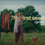 The first seed - PowerGrade + LUT — Gói LUTs và PowerGrade Chất Màu Điện Ảnh Trong Trẻo R141X62