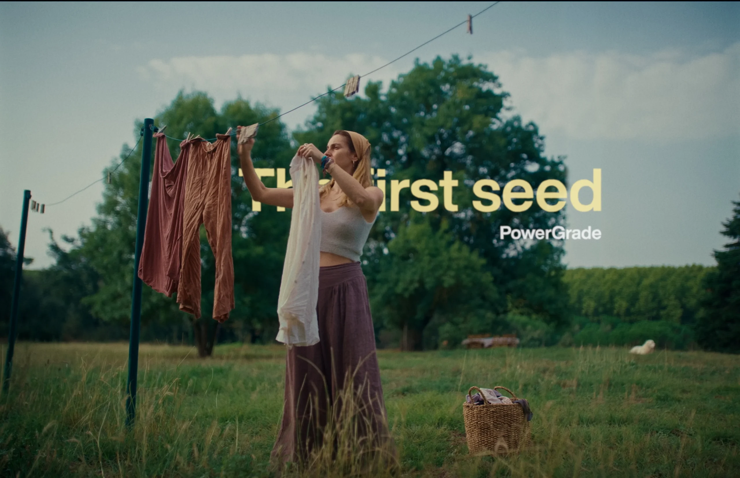 The first seed - PowerGrade + LUT — Gói LUTs và PowerGrade Chất Màu Điện Ảnh Trong Trẻo R141X62