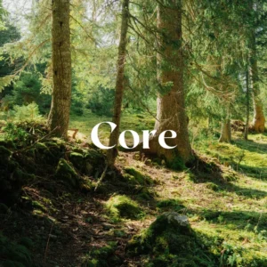Adrien Sanguinetti - Core Presets — Gói Preset diện mạo ảnh sang trọng toàn diện cho nhiếp ảnh của bạn (xmp/acr) P143D39